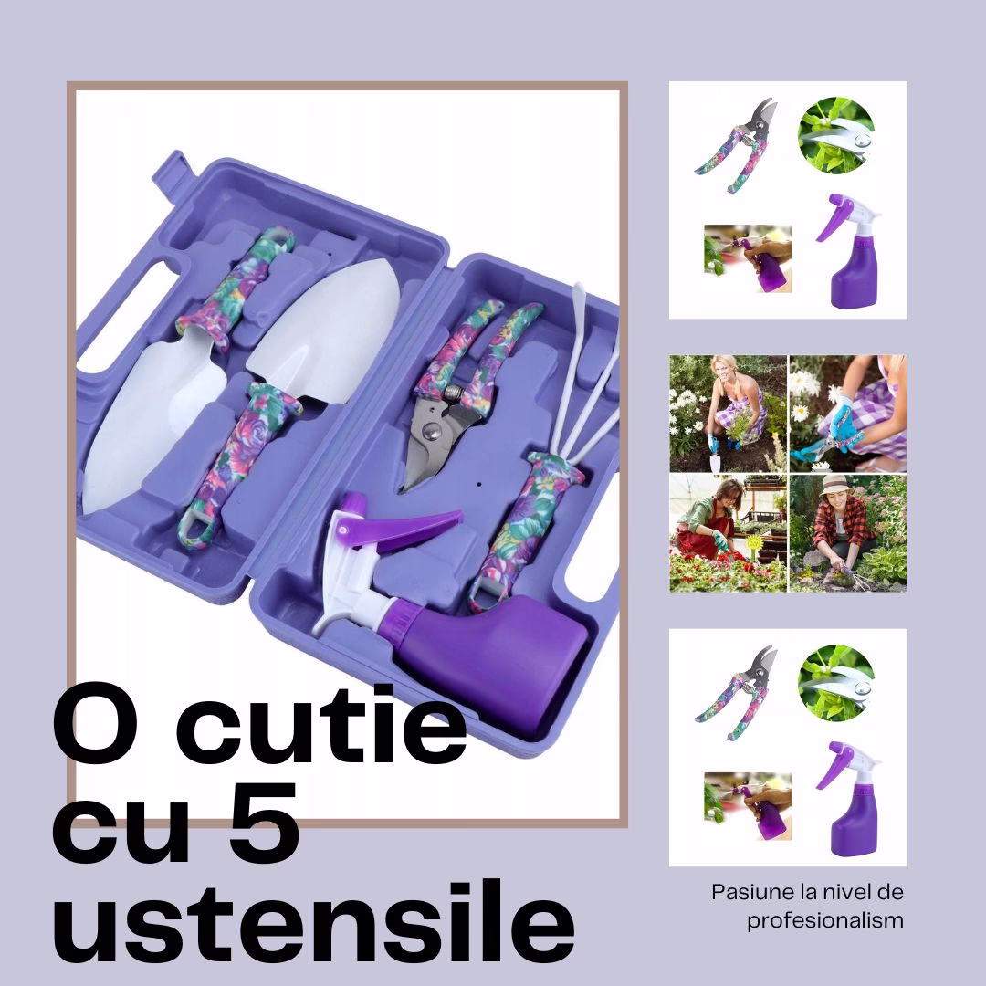 O cutie cu 10 ustensile (4).jpg