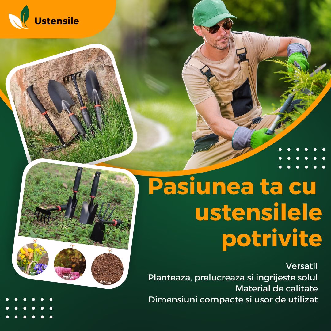 Ustensile (1).jpg
