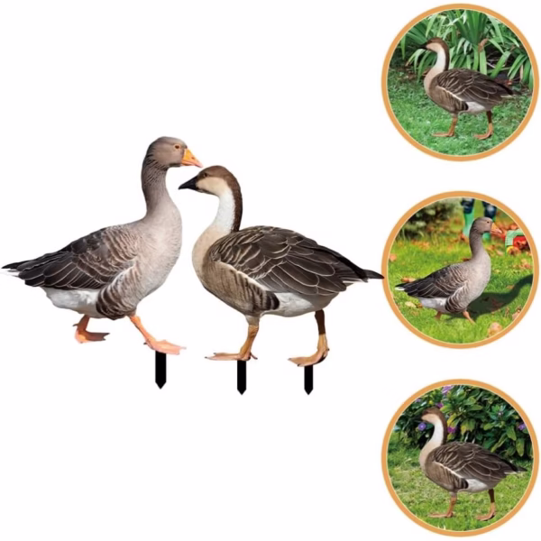 Decoratiune de Gradina, Flippy, Model Gasca Salbatica, Tip Placa, Grosime 3 mm, Fata-Verso, 27 x 30 cm, Maro - imagine 2