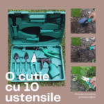 Set 10 Unelte Grădinărit Brico360, Oțel Inoxidabil și PVC, Kit Complet Plantare și Îngrijire cu Cutie Organizatoare, Verde - imagine 3
