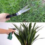 Set 10 Unelte Grădinărit Brico360, Oțel Inoxidabil și PVC, Kit Complet Plantare și Îngrijire cu Cutie Organizatoare, Negru - imagine 4