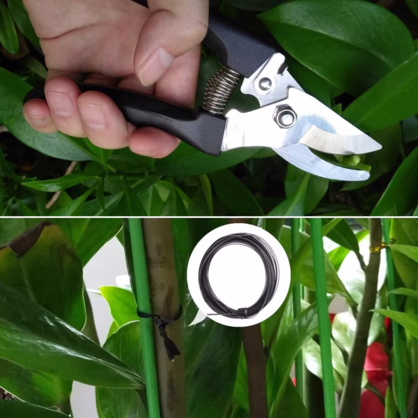 Set 10 Unelte Grădinărit Brico360, Oțel Inoxidabil și PVC, Kit Complet Plantare și Îngrijire cu Cutie Organizatoare, Negru - imagine 5