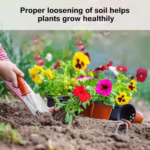 Set 10 Unelte Grădinărit Brico360, Oțel Inoxidabil și PVC, Kit Complet Plantare și Îngrijire cu Cutie Organizatoare, Portocaliu - imagine 4