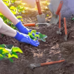 Set 10 Unelte Grădinărit Brico360, Oțel Inoxidabil și PVC, Kit Complet Plantare și Îngrijire cu Cutie Organizatoare, Portocaliu - imagine 7