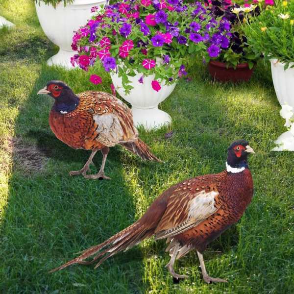 Set 2 Decoratiuni de Gradina, Flippy, Model Fazani, Tip Placa, Grosime 3 mm, Fata-Verso, Multicolor - imagine 5