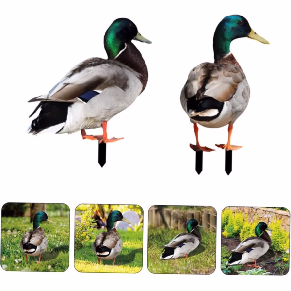 Set 2 Decoratiuni de Gradina, Flippy, Model Rata, Tip Placa, Grosime 3 mm, Fata-Verso, Multicolor - imagine 3
