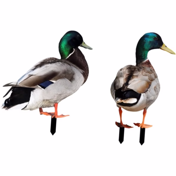 Set 2 Decoratiuni de Gradina, Flippy, Model Rata, Tip Placa, Grosime 3 mm, Fata-Verso, Multicolor - imagine 5