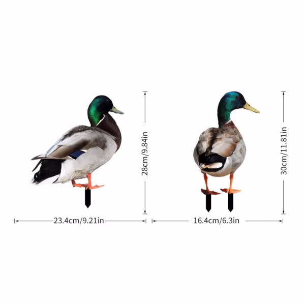 Set 2 Decoratiuni de Gradina, Flippy, Model Rata, Tip Placa, Grosime 3 mm, Fata-Verso, Multicolor - imagine 1