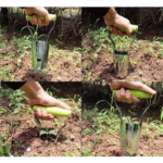 Transplantator Agricol Cilindric, Flippy, din Otel si Plastic, 6 cm Diametru, cu Maner Flexibil, 23 x 6 x 13 cm, Verde - imagine 4